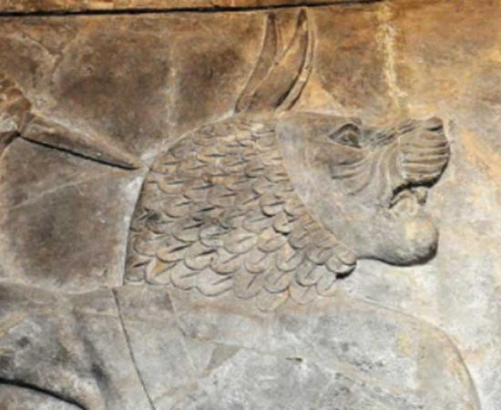 Fantastic Beasts and Where to Find Them: A History of Monsters, from Werewolves to Hippogriffs