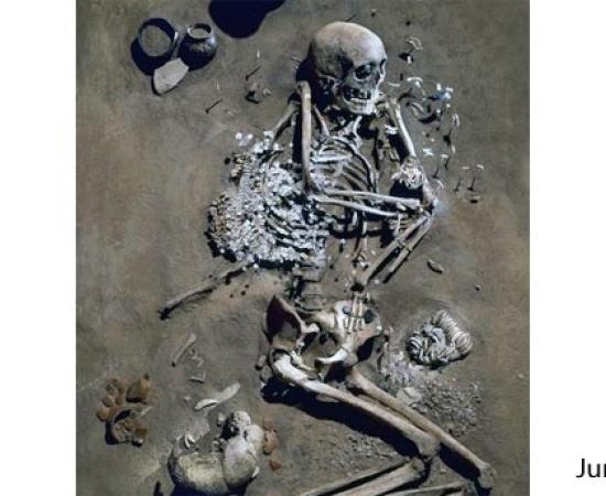 Farmers and Hunter-Gatherers