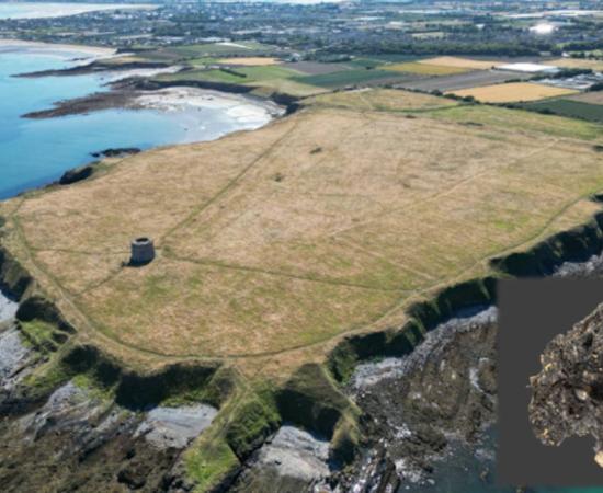 Drumanagh Promontory Fort, County Dublin. Inset, The charred fig from the Drumanagh excavation