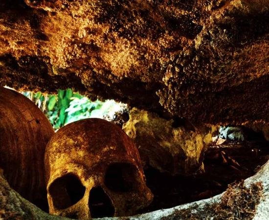 Human remains of bones and skulls at a traditional cannibal site.  Source: simanlaci / Adobe Stock.