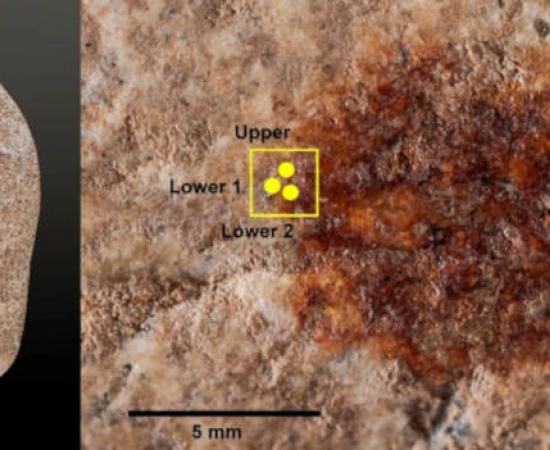 Left; the red dot on a stone, found to be a fingerprint. Right; Sample zones in the red dot.  
