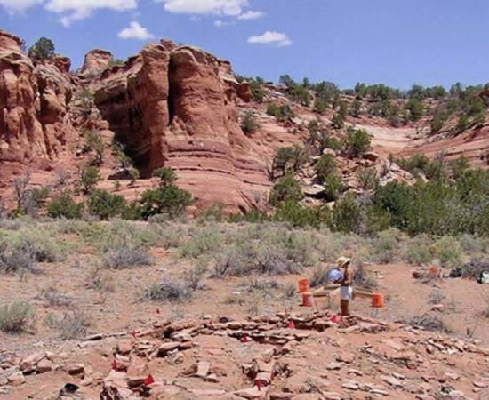 Excavations of ancient households and study of fingerprints in New Mexico reveal that men and women were equally involved in domestic pottery production. Source: John Kantner / UNF.