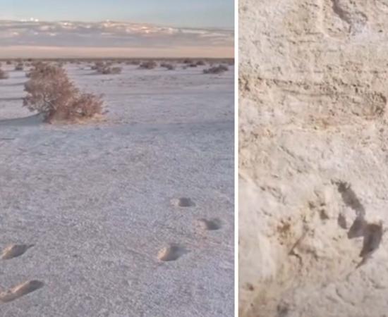 A recent study, outlining what archaeologists consider the oldest known footprints in the United States, is giving rise to new inquiries and overturning established beliefs. Source: YouTube Screenshot/PBS NewsHour