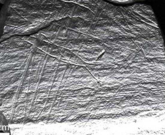 : A slate slab from the Stone Age site of Gönnersdorf shows a fish trap.