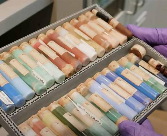 Forbes pigment collection. Source: YouTube Screenshot / Great Big Story.