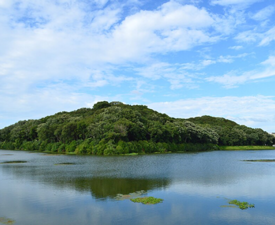 Forested Kofun burial mound surrounded by a moat