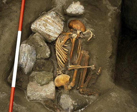 One of the Frankenstein mummies found at Cladh Hallan in Scotland. Source: Mike Parker Pearson / University College London