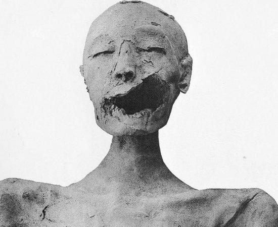 Front view of the mummy of the "Younger Lady".