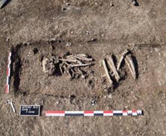 Ancient Skeleton Found Clutching Deer Antler in Neolithic Complex in France