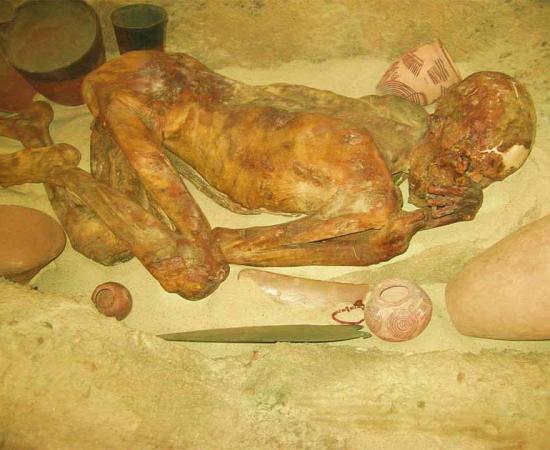 The mummified Gebelein Man formerly known as "Ginger" in a reconstructed Egyptian grave-pit in the British Museum, photographed in 2008.   