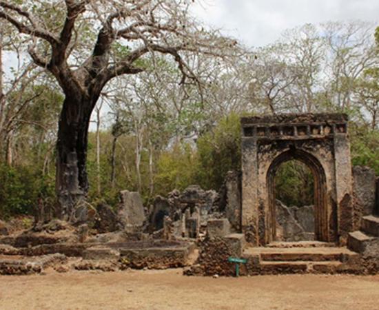Ruins of Gedi Palace