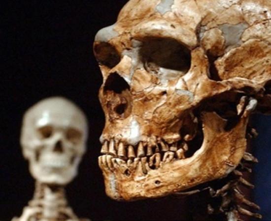 Biggest Known Genetic Difference Between Humans and Neanderthals May Be Related to Autism