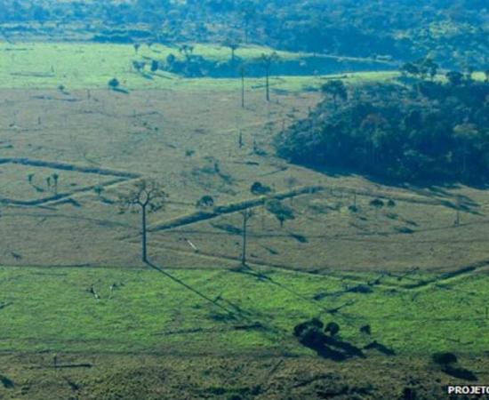 Mysterious Geoglyphs of Amazonia
