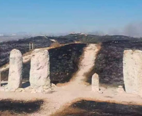 The aftermath of the Gezer fire of early July 2022 shown in this image reveals that ancient stone ruins can survive grass fires, but that climate change is making more fires overall. Source: Roee Shtrauss / INPA