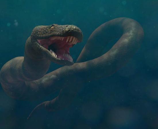 Could there be a snake as large as Titanoboa still living in the Amazon? Source: Dottedyeti / Adobe Stock.