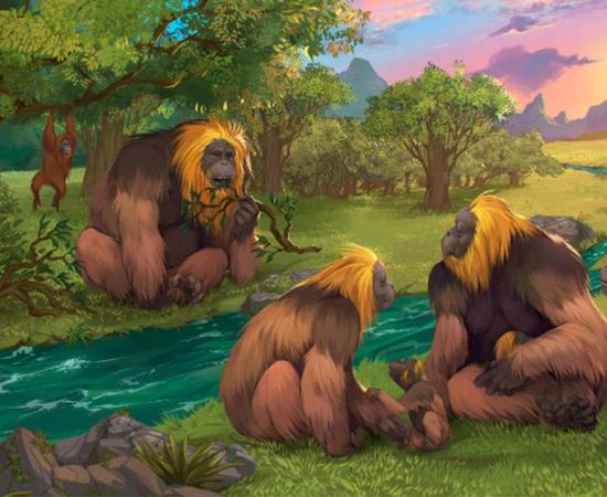 An artist impression of a group of Gigantopithecus blacki within a forest in southern China. Source: Garcia/Joannes-Boyau, Southern Cross University/Nature