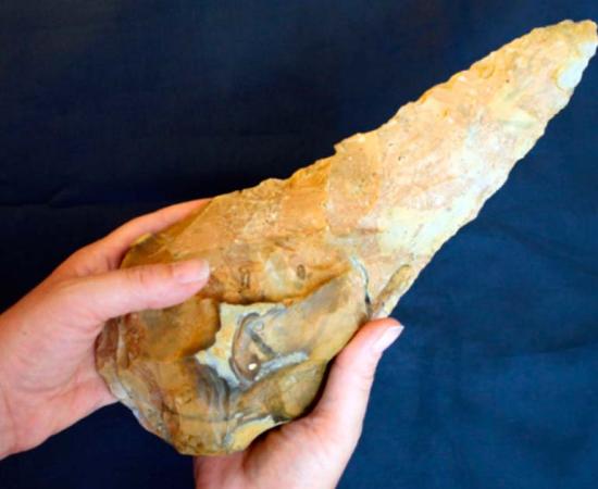 The largest giant handaxe found at the Maritime Academy School site in Frindsbury, Kent, UK.	Source: Ingrey et al/Internet Archaeology