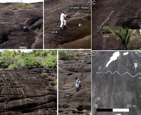 A variety of the giant petroglyphs discovered along the Orinoco River