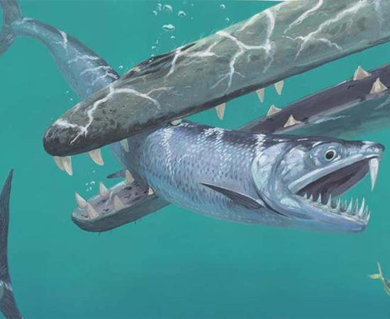 Scientists studying 55-million-year-old fossils using groundbreaking tech have revealed that after the extinction of dinosaurs, giant anchovies roamed the sea. Pictured: Artist’s impression of saber-toothed anchovy being caught by an early whale.   Source: © Joschua Knüppe
