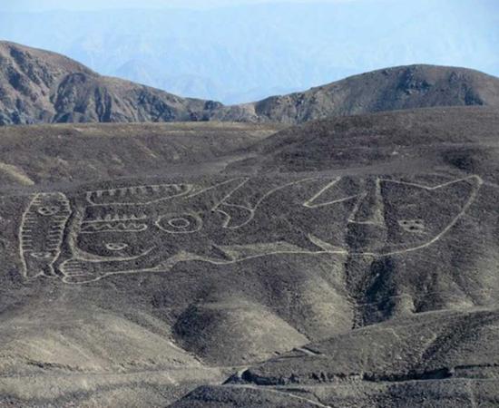 The rediscovered orca geoglyph lies on a desert hillside in the remote Palpa region of southern Peru.