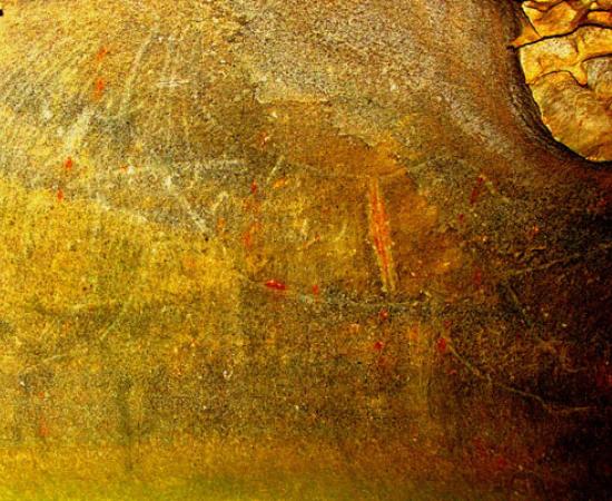 The Cave of the Golden Boomerang
