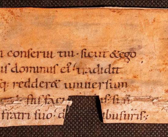 Fragment from ancient gospel. Source: Stephen Butler / Adobe Stock.