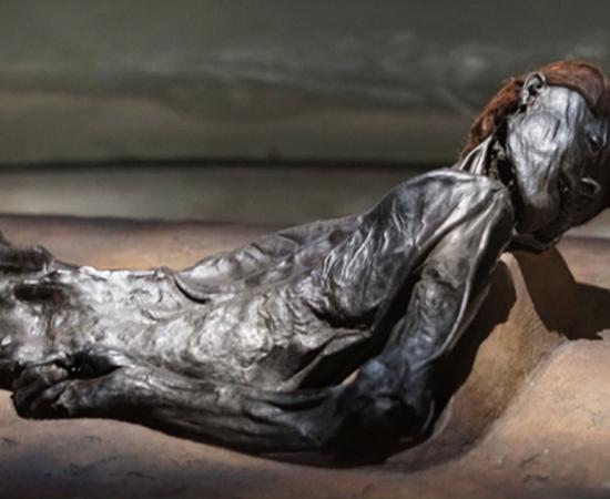 The Grauballe Man is a bog body that was uncovered in 1952 from a peat bog near the village of Grauballe in Jutland, Denmark. 