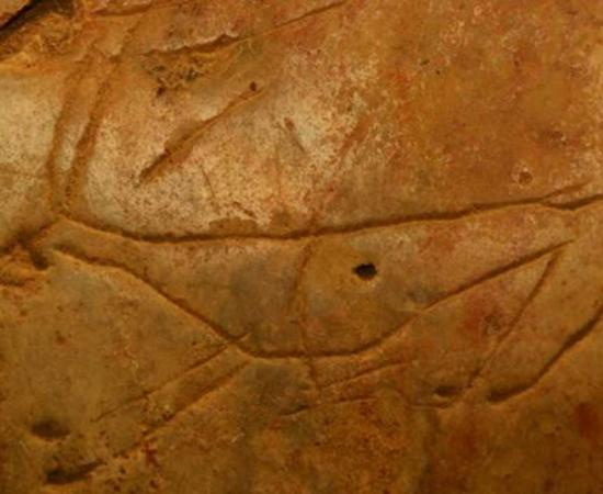 A carving of an extinct deer in the Asphendou Cave on Crete.