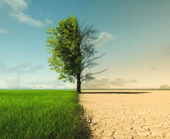 As the Earth’s axis tilted towards the Sun, the Green Sahara transitioned to the dry Sahara and still many millions continued to impact this changing ecosystem. Source: appledesign / Adobe Stock