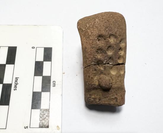 11 Dots May Be Oldest Mesoamerican Numbers