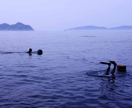 Korean haenyeo divers. Source: ufokim / Adobe Stock.