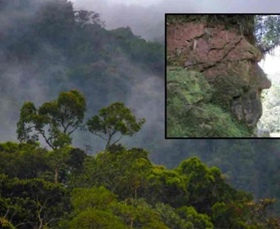Main: The Amazon rainforest. Inset: The Harakbut Face. Source: vaclav / Adobe Stock and Arqueologia Revelada 