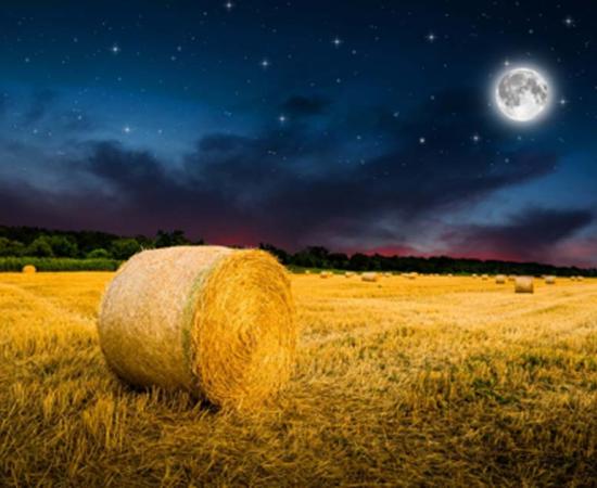 The Harvest Moon. Source: klagyivik / Adobe Stock.