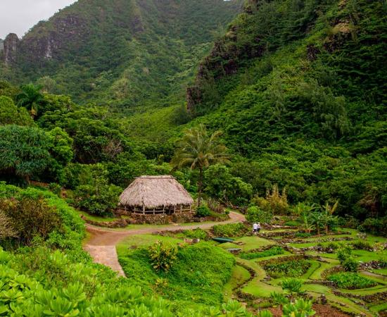 Limahuli Garden Preserve, Hawaii. Source: stevengaertner / Adobe Stock.