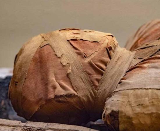 Head and shoulders of an Egyptian mummy