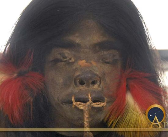Shrunken head from the upper Amazon region