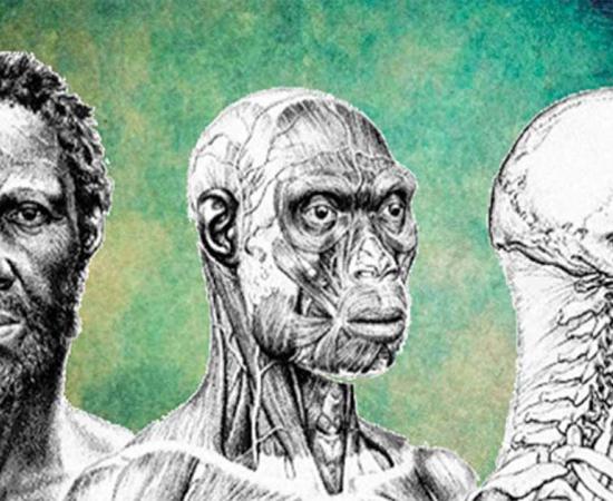 Depiction of what the ancient 'Herto Man' may have looked like. His skull dates to 160,000 years ago. Source: Bradshaw Foundation