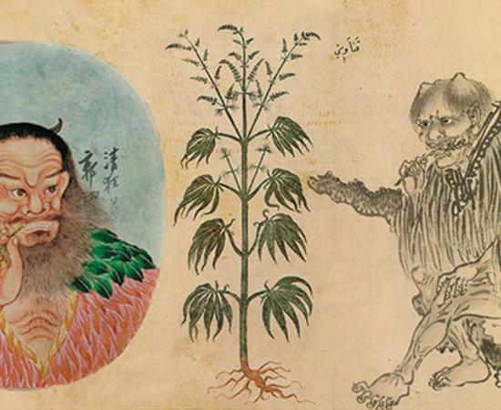 China has a very long history of marijuana use.