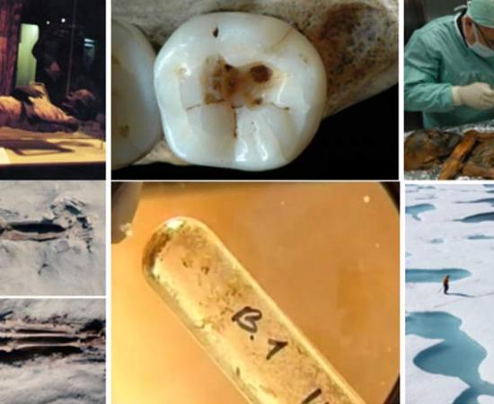 Top Ten Historical Health and Medical Discoveries of 2015
