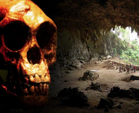 New Research Asserts that the Hobbits of Indonesia Vanished Earlier than Previously Believed