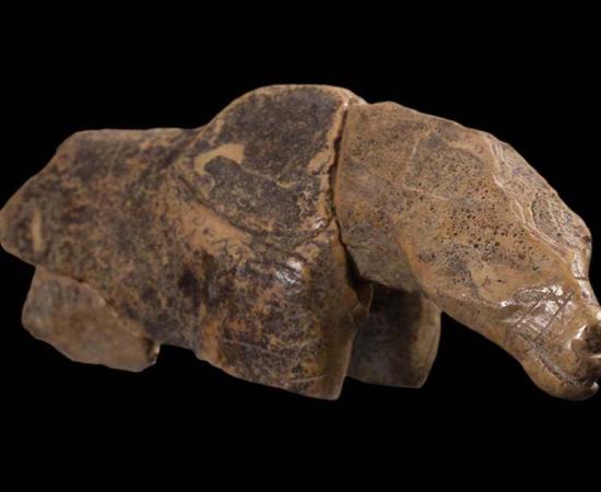 The Hohle Fels “horse” figurine with all its fragments. Source: Ria Litzenberg / University of Tübingen