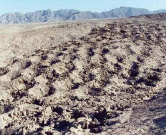 Mile long band of mysterious and unexplained holes in Pisco Valley – Peru. 