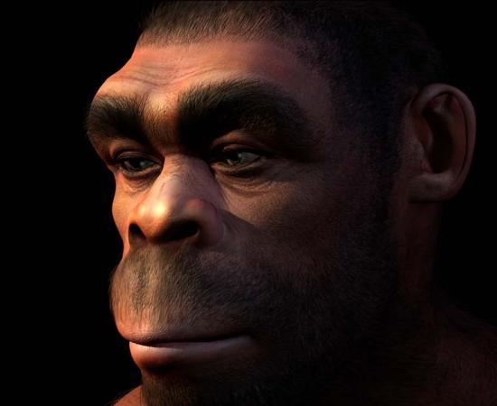 Top image: Homo erectus reconstruction. Source: AlienCat/Adobe Stock