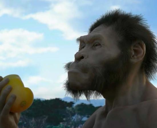 Homo Naledi. Source: YouTube Screenshot / Scientists Against Myths.