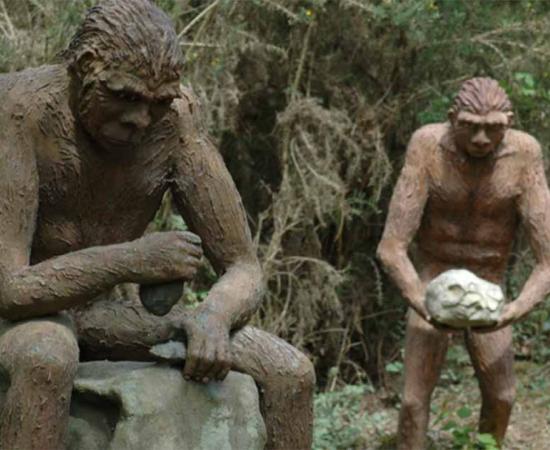 Diorama of Homo erectus using tools at Parc de Préhistoire de Bretagne.       Source: Bas Kers (NL)/CC BY NC-SA 2.0 DEED