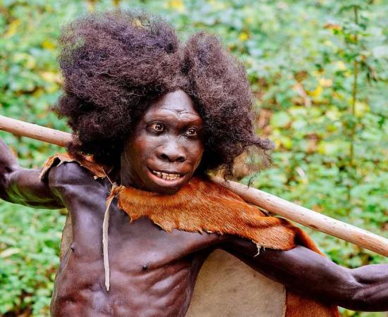 Reconstruction of the Homo erectus Turkana Boy from the Nariokotome, Kenya site, exhibited in the Neanderthal Museum in Erkrath, Germany. 