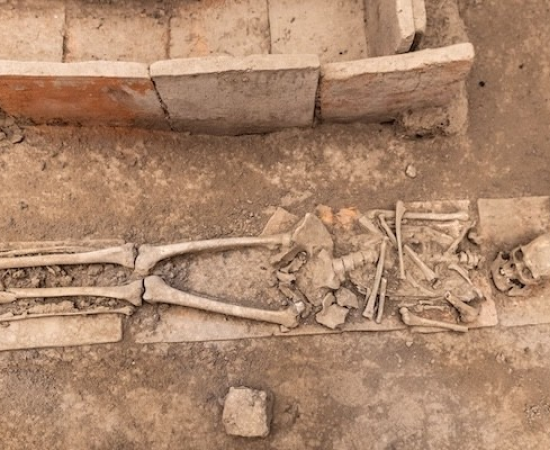 Human skeletal remains from an archaeological burial used in dietary inequality research