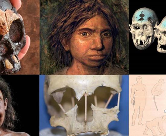 The Top 10 Human Evolution Discoveries in 2021. Source: Ancient Origins