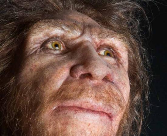 Homo heidelbergensis facial reconstruction.	Source:	Labrado/Adobe Stock	