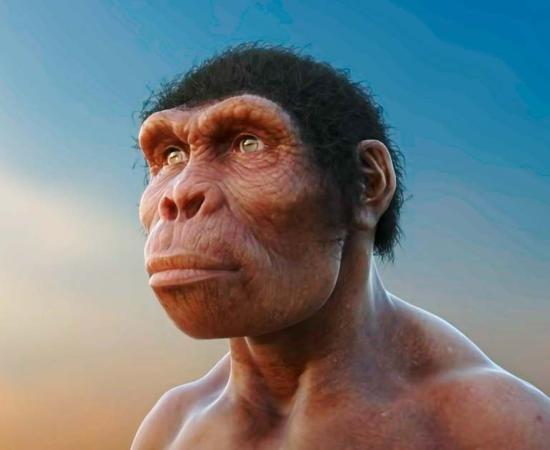A reconstruction of Homo habilis. Source: YouTube Screenshot / Scientists Against Myths.